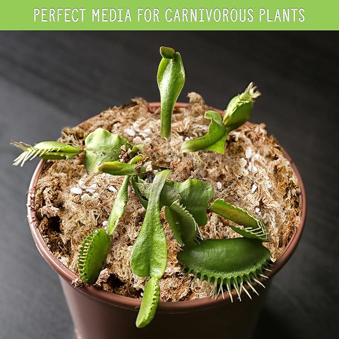 All Natural Sphagnum Moss Potting Mix (2 Quarts), Dried Moss Blend for Carnivorous Plants, Orchids, Top Dressing, and More