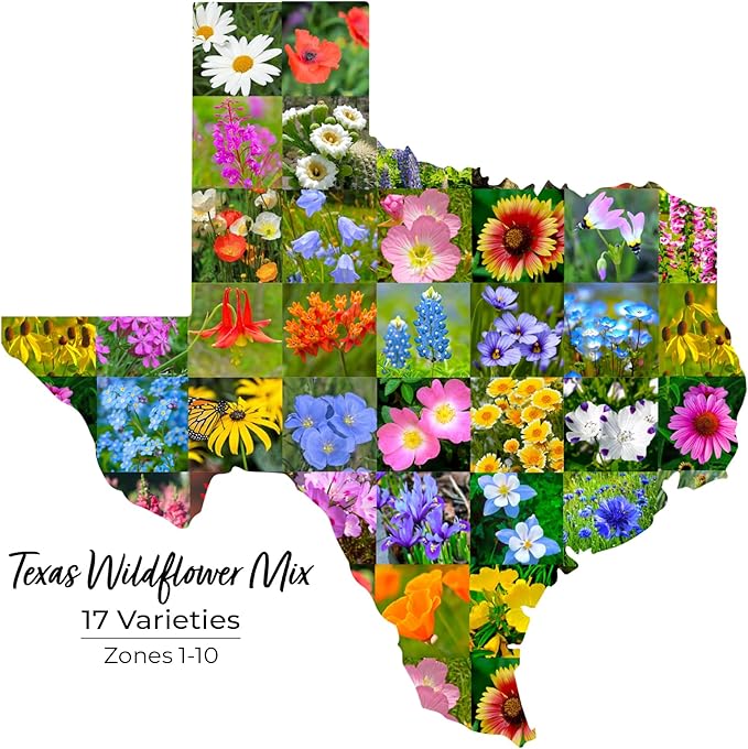 Texas Wildflower Seed Mix, Covers 325 Sq Ft, 17 Flower Varieties, Over 60,000 Seeds - Created By Nature