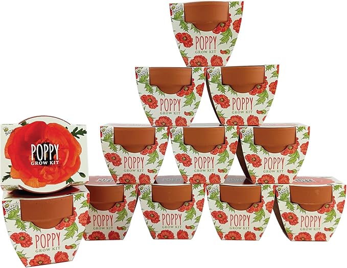 BUZZY Seeds Terracotta Mini Grow Pots | Herb, Plant, Flower Starter Kit for Kids & Adults | Assorted 12-Pack, Poppy | Guaranteed to Grow | Best Indoor Grow Your Own Plant Gardening Gift