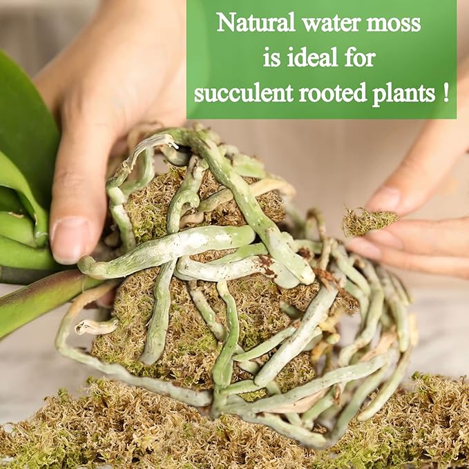 Legigo 1.3LBS Premium Sphagnum Moss for Plants 25QT Natural Succulent Carnivorous Plant Moss Dried, Long Fiber Orchid Moss for Repotting Succulent Sarracenia Potted Plants Gardening and Reptiles
