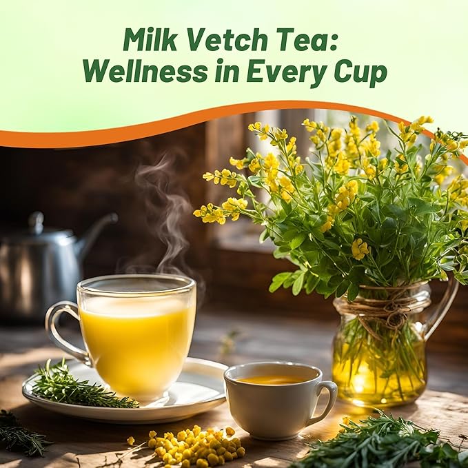 Outsidepride 100 Seeds Perennial Astragalus Milk Vetch Herb Garden Seeds for Planting