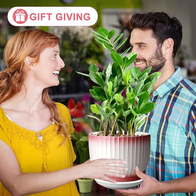 8 Inch Plant Pot, Ceramic Planter with Drainage and Saucer, Ceramic Pots for Plants, Indoor Plant pots,Ceramic Flower pots(Pink + White, Plants NOT Included)