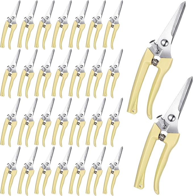 Chumia 30 Pcs Garden Flower Shears Pruning Scissors Heavy Duty Plant Scissors Trimming Garden Clippers Hand Tree Pruner for Yard Gardening Plants Hedge Flower Tree Cutting Secateurs (Beige)