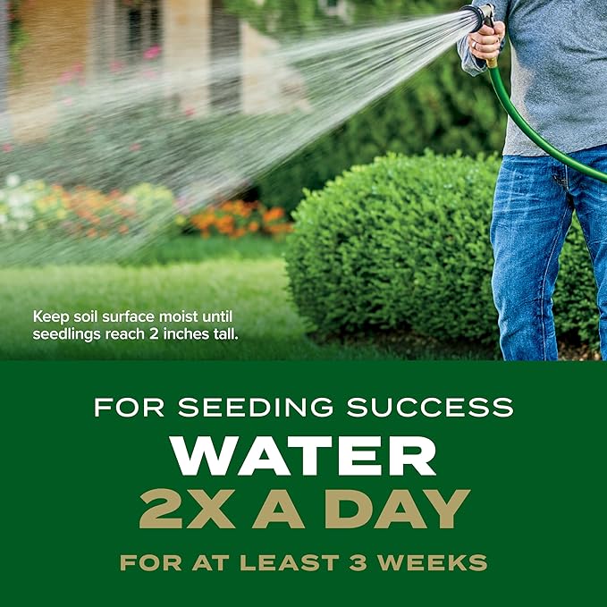 Scotts Turf Builder Rapid Grass Southern Gold Blend for Tall Fescue Lawns, Combination Seed and Fertilizer, 5.6 lbs.