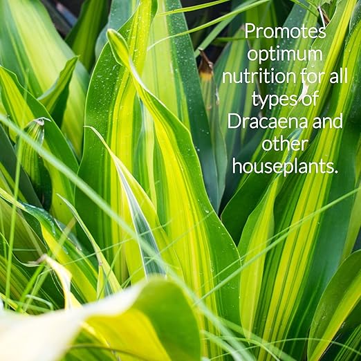 Professional Liquid Dracaena Plant Fertilizer | 3-1-2 Concentrate for Indoor Plants | Multi-Purpose Blend & Gardening Supplies | 8 oz Bottle