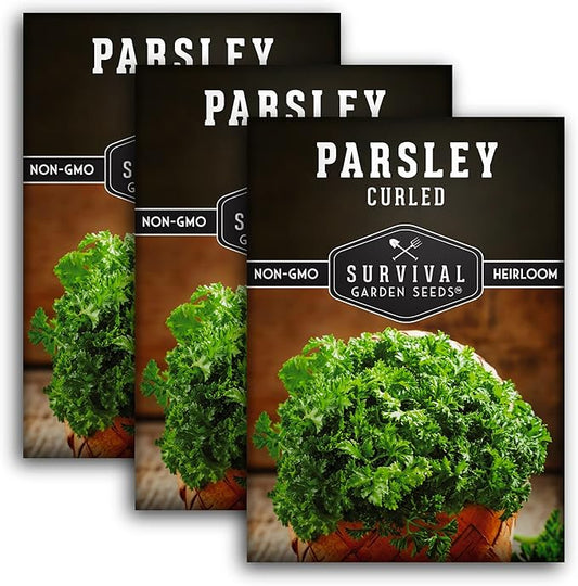 Survival Garden Seeds - Curled Parsley Seed for Planting - 3 Packs with Instructions to Plant and Grow Nutritious Curly Parsley Herb Plants in Your Home Vegetable Garden - Non-GMO Heirloom Variety