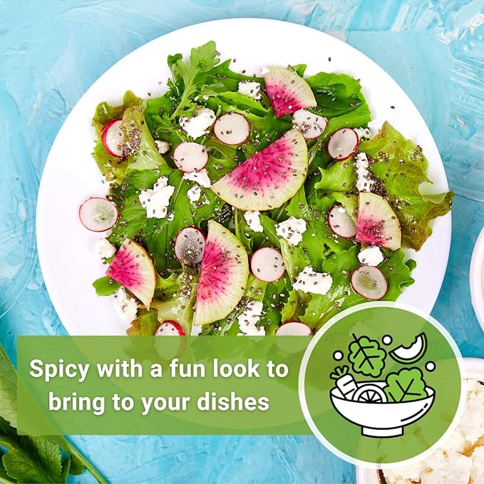 Sow Right Seeds - Bulk Watermelon Radish Seed for Planting - 10 Grams, 950 Seeds - Non-GMO Heirloom Jumbo Pack with Instructions to Plant a Home Vegetable Garden - Grow Loads of This Rare Veggie