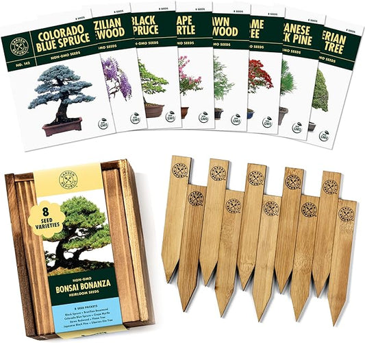 Bonsai Tree Seeds Kit - 8 Popular Varieties of Non GMO Mini Bonsai Trees, Bamboo Plant Markers, Wood Gift Box - Bonzie Tree Seed Starter Kits, Grow Bonzai Indoor, Fathers Day Gardening Gifts Idea