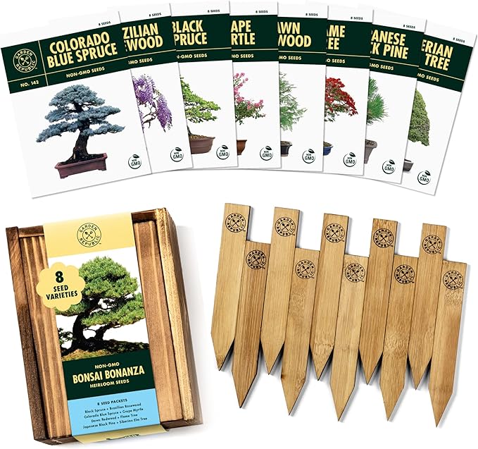 Bonsai Tree Seeds Kit - 8 Popular Varieties of Non GMO Mini Bonsai Trees, Bamboo Plant Markers, Wood Gift Box - Bonzie Tree Seed Starter Kits, Grow Bonzai Indoor, Fathers Day Gardening Gifts Idea