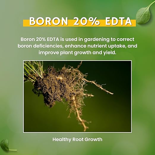 Katyayani Boron 20% (EDTA) Micronutrient Fertilizer to Correct Boron Deficiency in Soils and Crops (400gm x 1) (0.8lb)