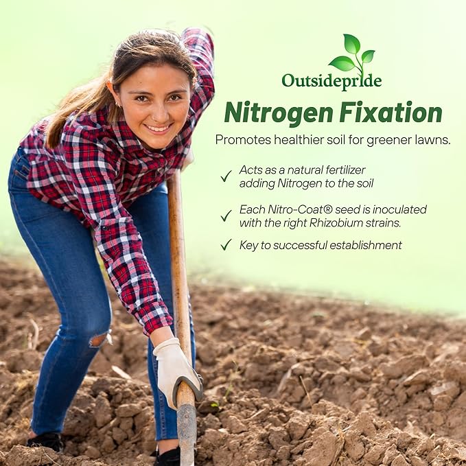 Outsidepride Perennial White Dutch Clover Seed - 1/4 lbs. Nitrocoated, Inoculated Clover Seeds for Lawn Alternative, Erosion Control, Food Plots, Ground Cover, & Pasture Mixtures in USDA Zones 3-10