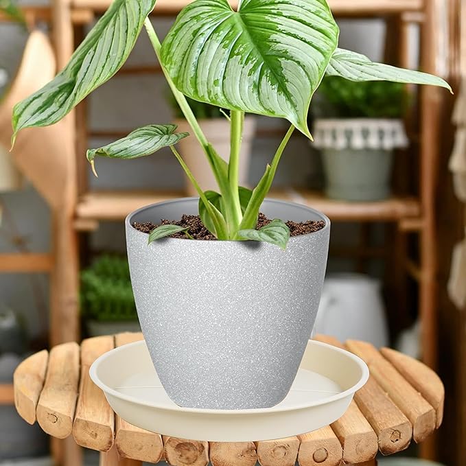 6 Pack of Plant Saucer Tray 11 12 inch, Heavy Duty Plastic Pot Plant Drip Trays Saucers for for Indoors Outdoor, Plant Water Tray for Planters 11-12" (12", Beige)