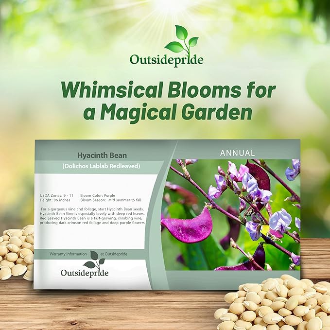 Outsidepride 200 Seeds Perennial Red Dolichos Lablab Hyacinth Bean Vine & Flower Seed for Planting