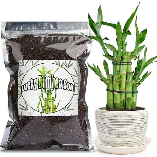 Premium Lucky bamboo Soil Mix 1qt, Indoor Plants Potting Mix for All Potted Luncky bamboo, Promote Healthy Growth and Longevity