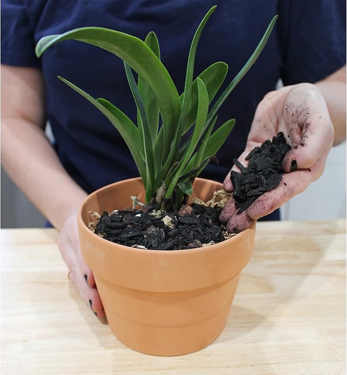 Horticultural Charcoal for Indoor Plants (4 Quarts), Hardwood Soil Additive for Orchids, Terrariums, and Gardening