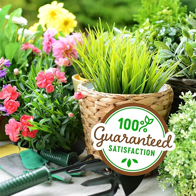 Back to the Roots 100% Organic Vermiculute (24 qt Value Pack) | Made in The USA | Premium Nutrition for Indoor and Outdoor Plants