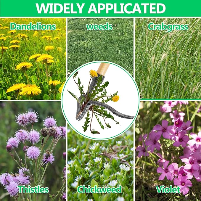 Weed Puller, Stand-Up Weed Puller Tool with Long Handle & 4-Claw Steel Head, 3-Sectioal Pole Design, Garden Hand Weeding Tool - Easily Remove Weeds Without Bending, Pulling,or Kneeling