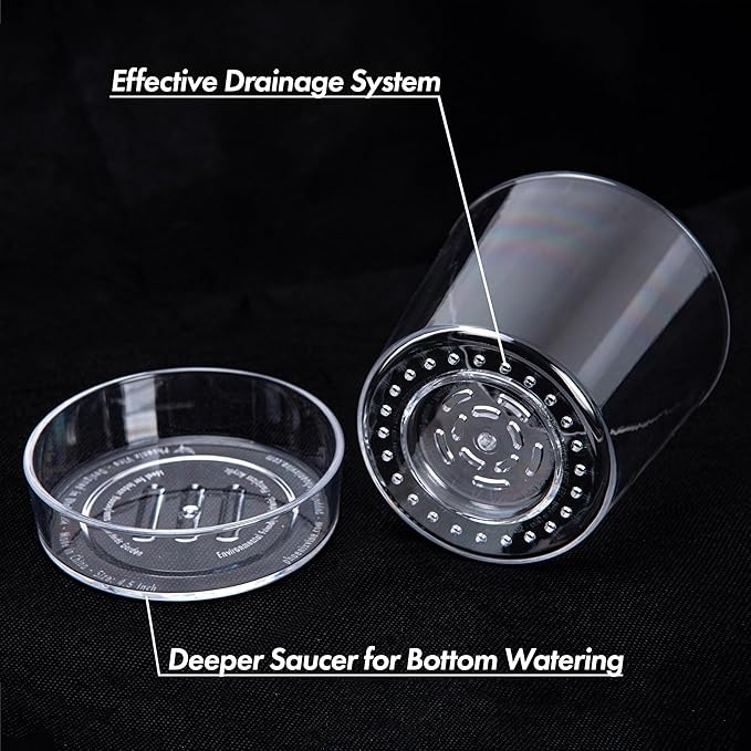 Phoenix Vine 4.5 Inch Clear Acrylic Planter Pot with Tray, Orchid Pot with Drainage Holes, Deep Saucer for Bottom Watering, Transparent Containers for Indoor Plants, Herbs, Set of 1, 91-A-E-1