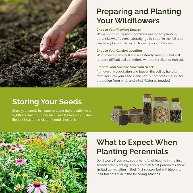 Eden Brothers Northeast All Perennial Wildflower Mixed Seeds for Planting, 1 lb, 480,000+ Seeds with Milkweed, NE Aster | Attracts Pollinators, Plant in Spring or Fall, Zones 3, 4, 5, 6, 7, 8, 9, 10