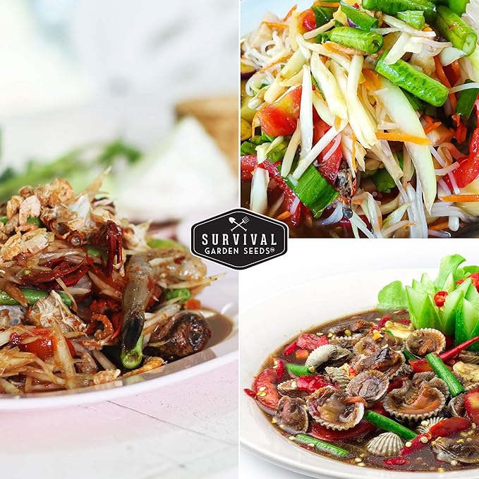 Survival Garden Seeds - Royal Burgundy Bean Seed for Planting - 5 Packs with Instructions to Plant and Grow Stringless Purple Bush Beans in Your Home Vegetable Garden - Non-GMO Heirloom Variety