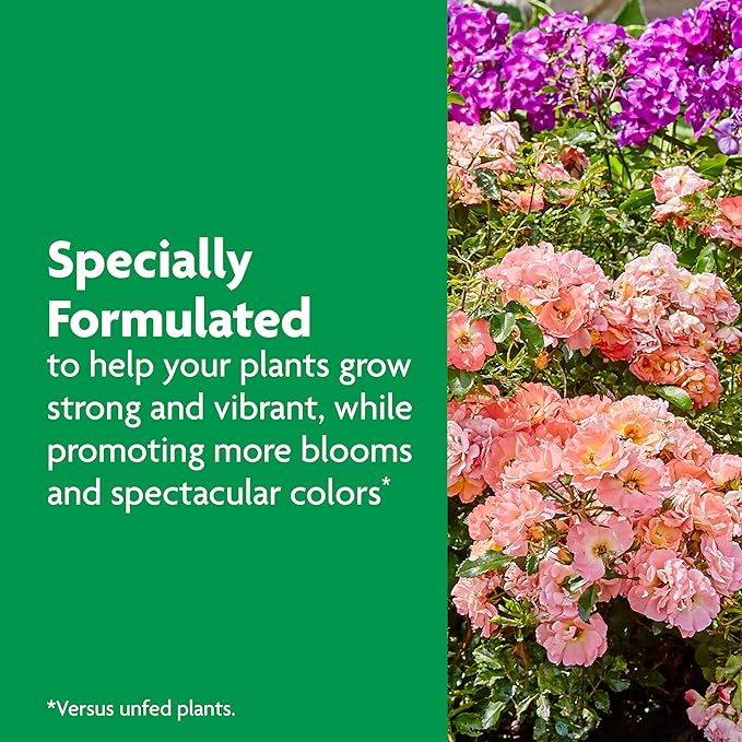 Miracle-Gro Shake 'n Feed Rose and Bloom Plant Food - Promotes More Blooms and Spectacular Colors (vs. Unfed Plants), Feeds Roses and Flowering Plants for up to 3 Months, 1 lb.