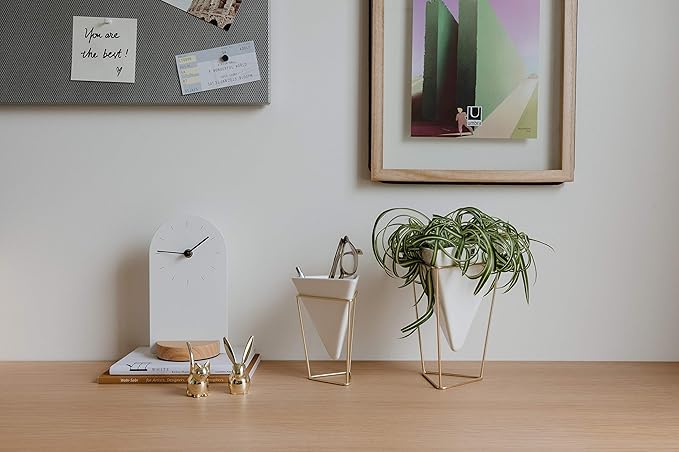 Umbra - 1004372-524 Trigg Desktop Planter Vase & Geometric Container-for Succulent, Air, Mini Cactus, Faux Plants and More, Desk, White/Brass