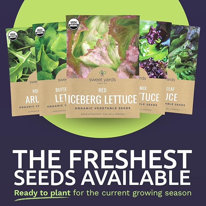 Organic Lettuce & Greens Seeds Variety Pack - 10 Individual Packs - 2025 Season - Buttercrunch, Arugula, Romaine, Kale and More! for Indoor & Outdoor Planting (Non-GMO, Certified Organic)
