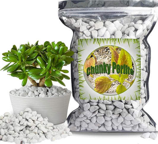 Organic Chunky Perlite for Plants (0.4"-0.8" in Diameter), Natural Horticultural Soil Additive Conditioner Mix, Improve Drainage and Ventilation, Enhance Soil Health and Root Growth (10 Quarts)