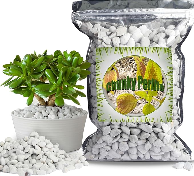 Organic Chunky Perlite for Plants (0.4"-0.8" in Diameter), Natural Horticultural Soil Additive Conditioner Mix, Improve Drainage and Ventilation, Enhance Soil Health and Root Growth (1 Quart)