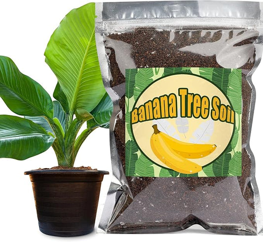 Premium Banana Tree Potting Mix for Optimal Seedling Growth 2qt, Suitable for All Indoor and Outdoor Banana Tree Varieties
