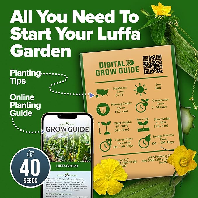 HOME GROWN Luffa Seeds - (Bulk Pack) 40 Non-GMO, Heirloom Loofah Seeds for Planting, USA Sourced, Great for Sponges or Edible Vegetable (Luffa aegyptiaca)