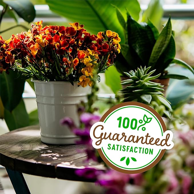 Back to the Roots 100% Organic Perlite (24 qt Value Pack) | Made in The USA | Premium Nutrition for Indoor and Outdoor Plants