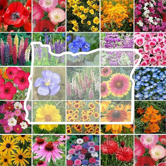 Eden Brothers Oregon Wildflower Mixed Seeds for Planting, 1/4 lb, 120,000+ Seeds with Bluebell, Cornflower | Attracts Pollinators, Plant in Spring or Fall, Zones