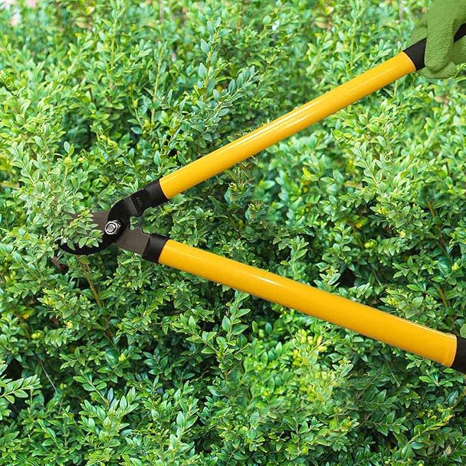 Centurion 1222 3-Piece Lopper, Hedge Shear & Pruner Combo Set, Heavy Duty Tree, Shrub & Bush Care Kit for Lawn, Garden & Yard, Ideal for Indoor & Outdoor Gardening, Branch Cutting & Plant Trimming