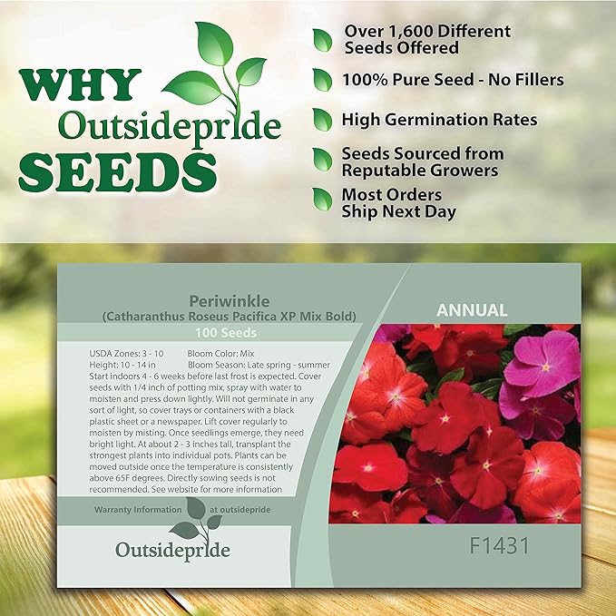 Outsidepride 100 Seeds Annual Vinca Periwinkle Pacifica XP Bold Ground Cover & Flower Seed Mix for Planting