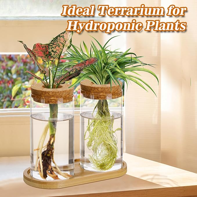 Plants Propagation Station - 2Pcs Desktop Plant Terrarium Glass Hydroponic Vases, Water Plant Propagating Jars, Gardening Gifts for Women Mom Plant Lovers (Thin Straight Shape, Conjoined Tray Style)