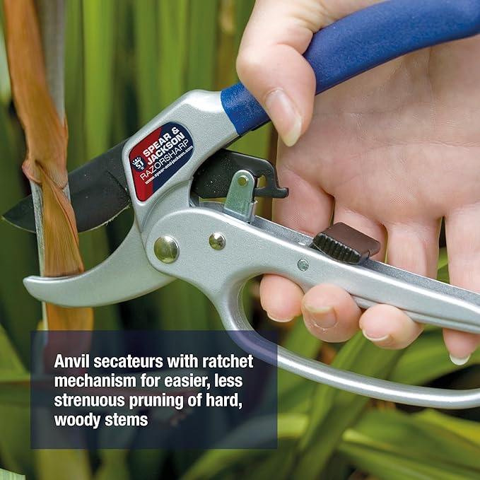 Spear & Jackson 6358RS Razorsharp Ratchet Anvil Pruners / Pruning Shears with Loop Handle. Clean & Easy Cutting. Cuts Thick Branches