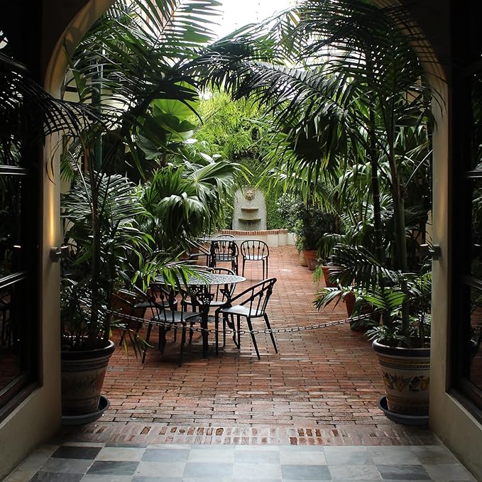 6 Pack Plant Saucer 12 14 16 18 20 22 Inch Plastic Plant Tray, Sturdy and Durable Flower Pot Container Accessories Plant Pot Saucers for Indoor and Outdoor (18 Inch, Gray)