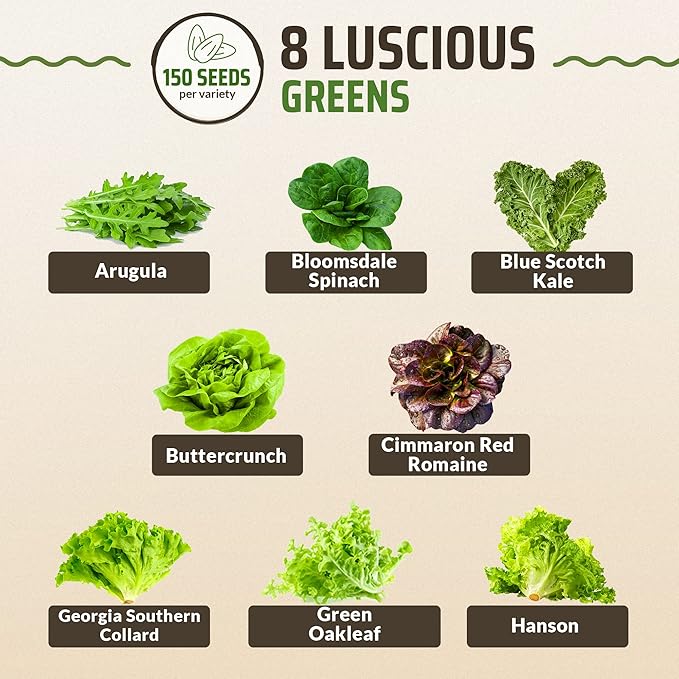 Rooted Acre 8 Lettuce & Greens Seed Vault - 1200 Non-GMO, Vegetable Heirloom Seeds for Planting Indoor or Outdoor - Hydroponic Garden Seeds - Salad Greens Mix - Spinach, Kale, Lettuce, and More