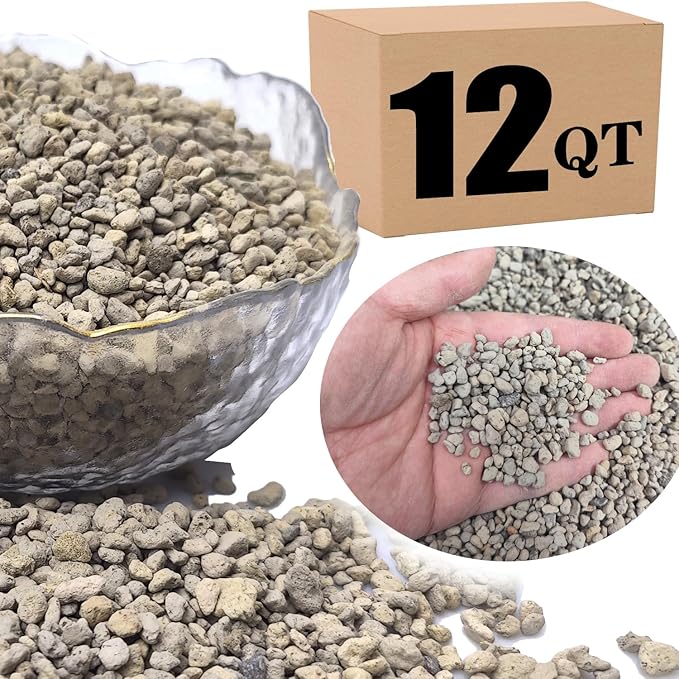 Horticultural Pumice for Plants Professional Sifted (12QT, 1/4 inch)
