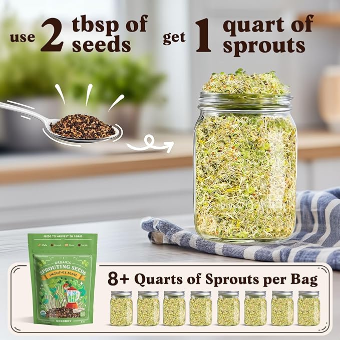Organic Sprouting Seeds - Smoothie Blend - Non-GMO, USA Grown Microgreens Mix - Alfalfa, Broccoli, Clover, Red Kale - Makes 8 Quarts of Sprouts, 24 Servings (8 oz) (Smoothie Blend)