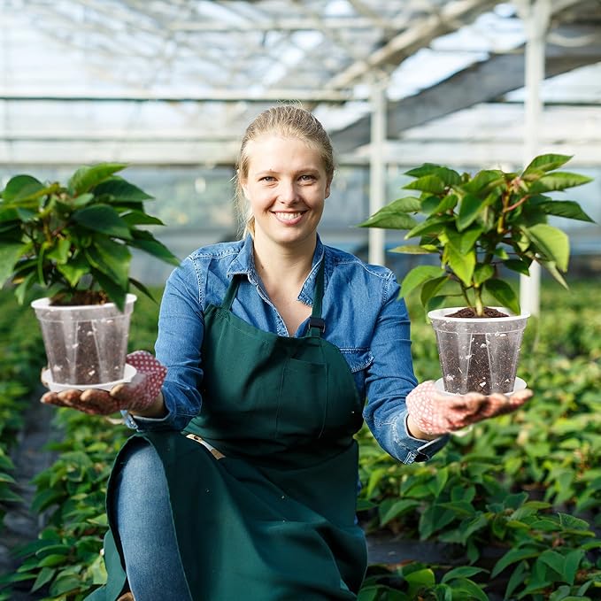 12pcs 3.9/4.7/5.9 Inch Clear Nursery Pots with Saucer, Transparent Plastic Plant Pots with Drainage Hole for House Plants, Flower, Succulent and Outdoor Clearance (20pcs Plant Labels)