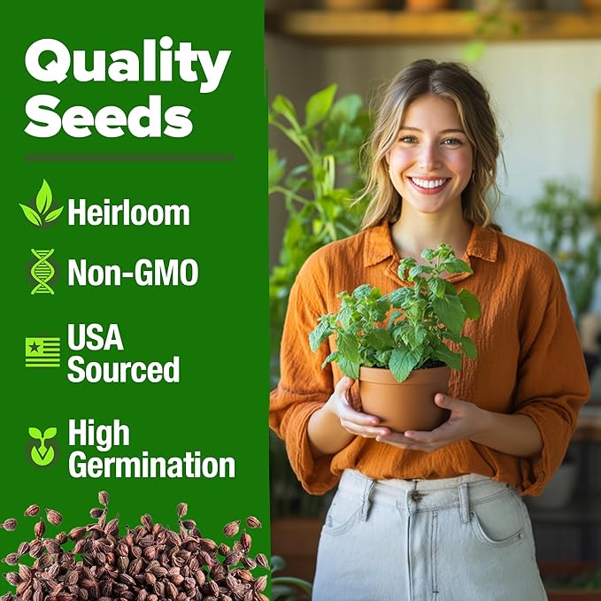 HOME GROWN Catnip Seeds (Bulk Pack) Non-GMO Heirloom Herb Seeds - Indoor or Outdoor Seed - High-Germination Cat Nip - Cat Safe Plants (Nepeta cataria)