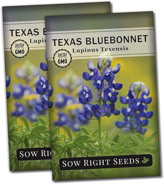 Sow Right Seeds - Texas Bluebonnet Seeds to Plant - Non-GMO Heirloom Seeds -Full Instructions for Planting - Beautiful Perennial Blue Blooms -Sweet Addition to Your Yard (2)
