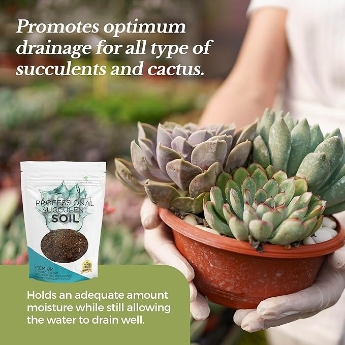 Large Bag Succulent Soil Premium All Purpose Blend | Pre-Mixed Ready to Use for Cactus and Succulents | Canadian Peat, Course Sand, Pinebark | Extra Large 8.2 Quarts | Made in USA