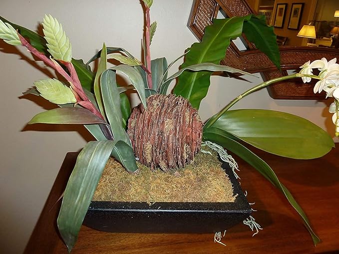 Mosser Lee ML0560 Spanish Moss, 250 Cubic Inches (3)