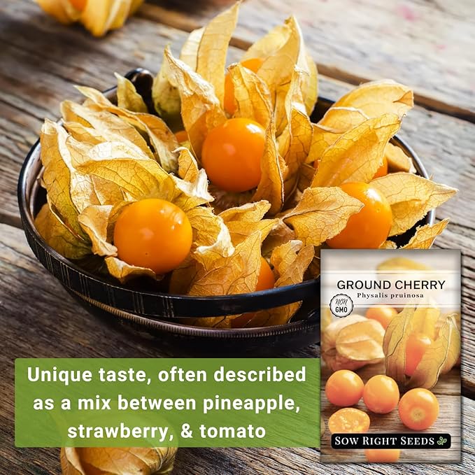 Sow Right Seeds - Ground Cherries Seeds for Planting - Non-GMO Heirloom Packet with Instructions to Plant an Outdoor Home Vegetable Garden - Mexican Husk Tomato - Endangered Variety (2)