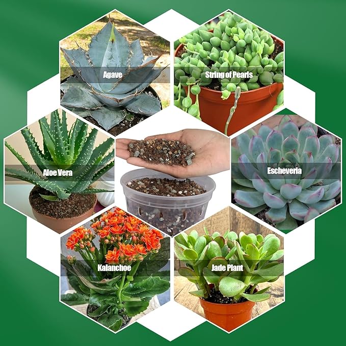 Succulent & Cactus Soil Potting Mix 2qt, Pre-Mixed Ready to Use with Fast Draining Fits for Bonsai, Terrarium and Houseplant