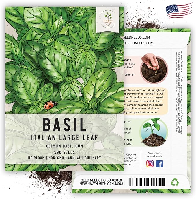 Seed Needs Italian Large Leaf Basil Seeds for Planting - Non-GMO, Heirloom & Untreated - Organically Grow an Indoor or Outdoor Home Grown Herb Garden (2 Packs)