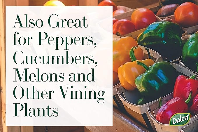 Dalen Gardeneer Season Starter – Early Season Insulated Plant Protector – Cold Weather Frost Guard - Easy Fill Shape for Optimal Planting - 6 Pack – Made in The USA - Blue